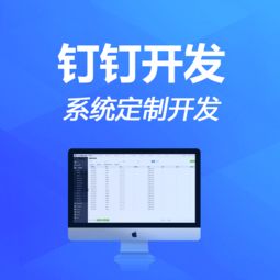 钉钉二次软件开发公司